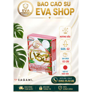 BCS Sagami Hương Dâu (3 cái)
